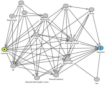 Twinning as a risk factor for neonatal acute intestinal diseases: a case-control study